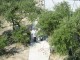 Thumbs/tn_Dsc02153.jpg