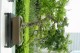 Thumbs/tn_Dsc01547.jpg