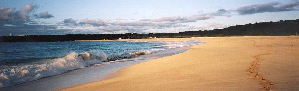 Clarence Bay, just to the north of Georgetown, where the turtles come ashore