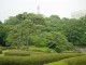 Thumbs/tn_Dsc01686.jpg