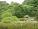 Thumbs/tn_Dsc01689.jpg