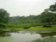 Thumbs/tn_Dsc01690.jpg