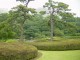Thumbs/tn_Dsc01691.jpg