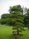 Thumbs/tn_Dsc01692.jpg