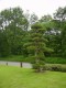 Thumbs/tn_Dsc01693.jpg