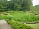 Thumbs/tn_Dsc01695.jpg