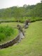 Thumbs/tn_Dsc01696.jpg