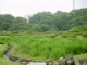 Thumbs/tn_Dsc01697.jpg