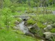 Thumbs/tn_Dsc01698.jpg