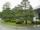 Thumbs/tn_Dsc01700.jpg